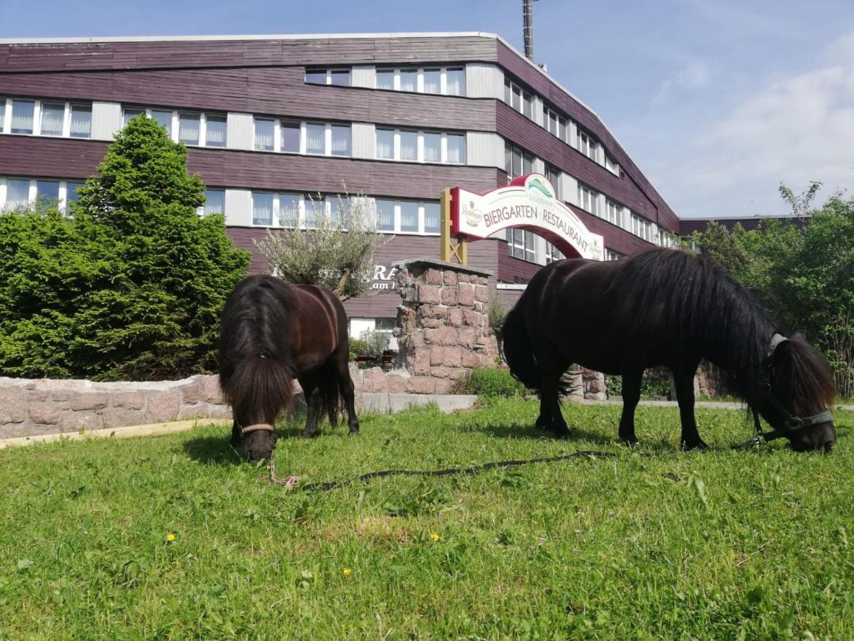 Hotel Lugsteinhof Altenberg Eksteriør bilde