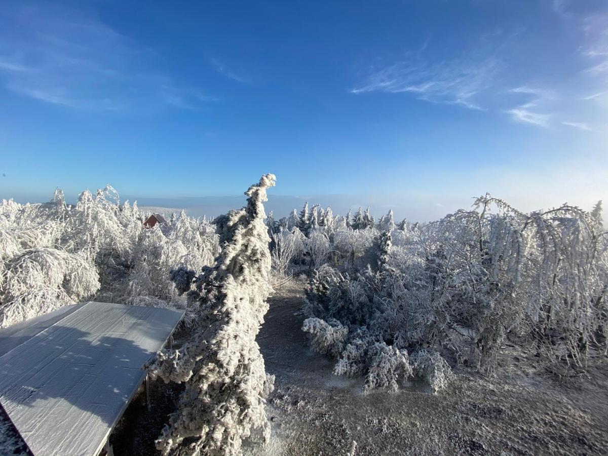 Hotel Lugsteinhof Altenberg Eksteriør bilde
